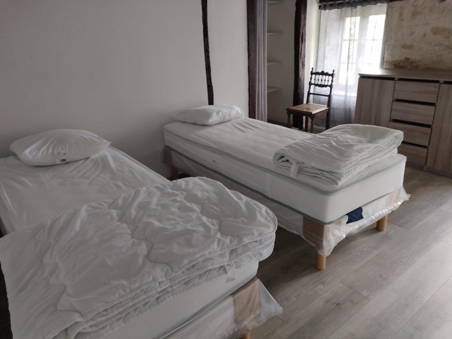 Chateau Le Puybelliard Bed and Breakfast Chantonnay Esterno foto