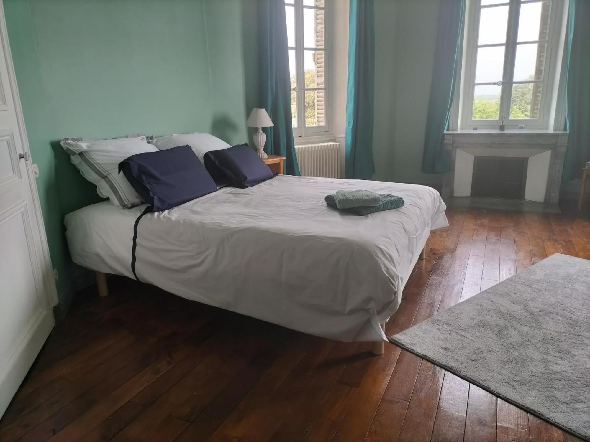 Chateau Le Puybelliard Bed and Breakfast Chantonnay Esterno foto