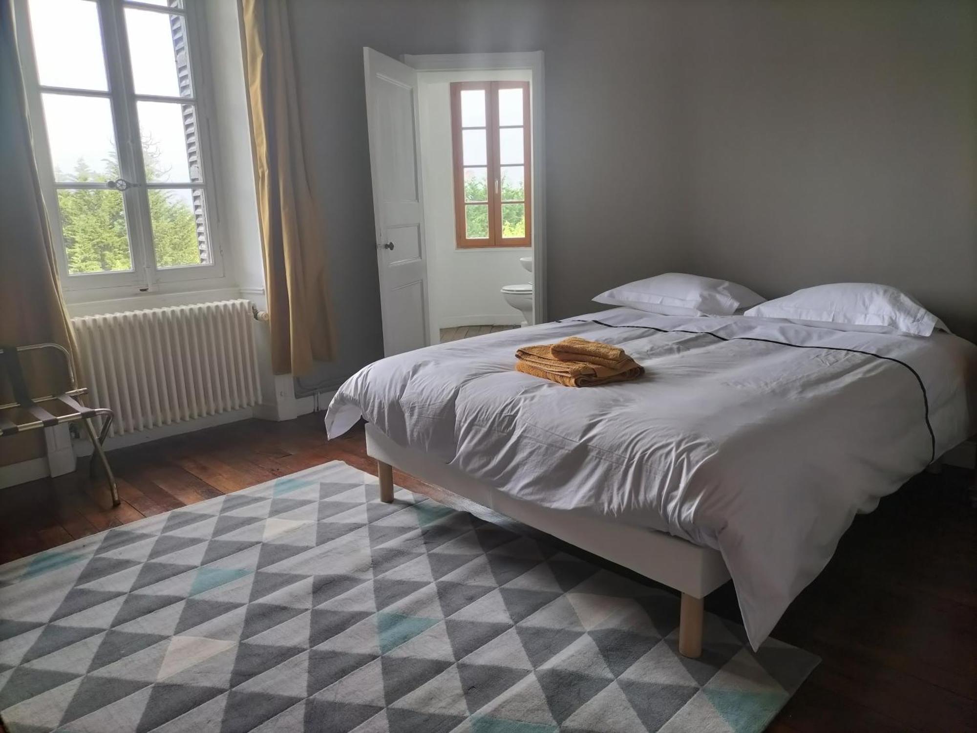 Chateau Le Puybelliard Bed and Breakfast Chantonnay Esterno foto